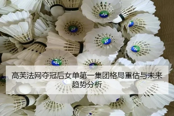 gao-fu-fa-wang-duo-guan-hou-nv-dan-di-yi-ji-tuan-ge-ju-zhong-gu-yu-wei-lai-qu-shi-fen-xi-2-595.jpg